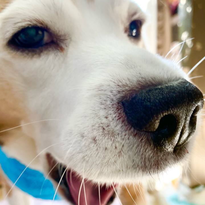 88831a0b 61ce 4241 b0b5 71a79a26f888 1605412162892