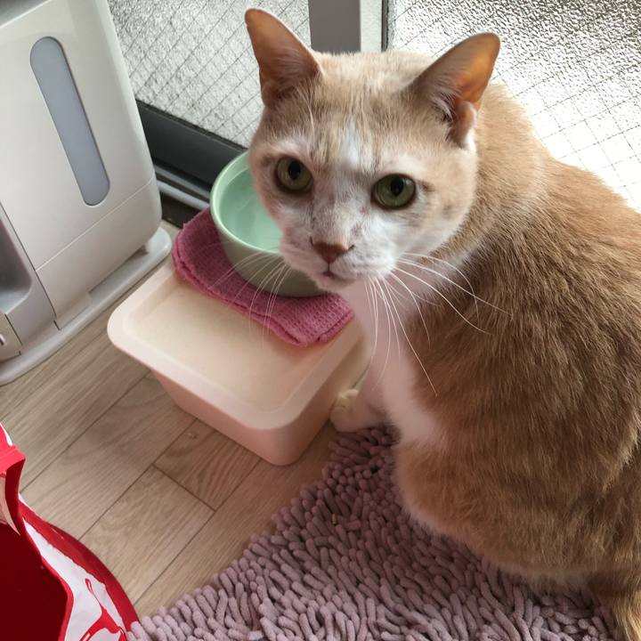 88833884 a1b5 4abf b5ad 2b027c62945e 1613690579235