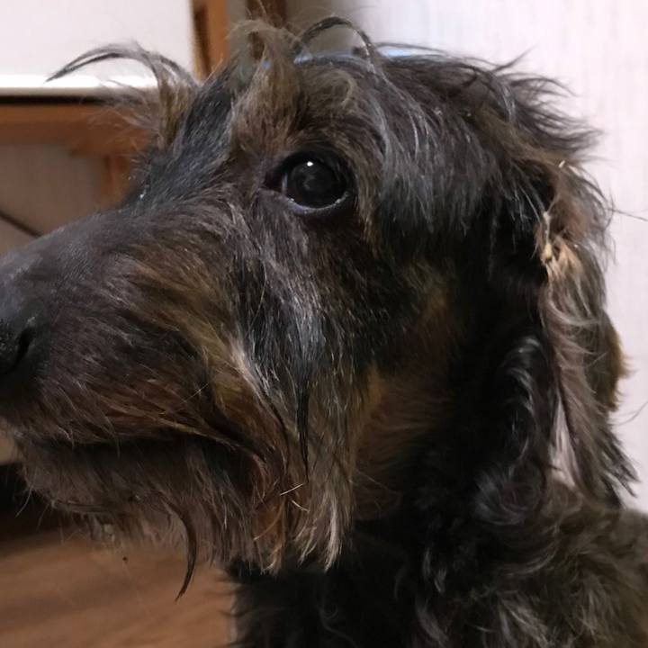 88834dab 4da4 438a 9f73 6c785c8401cb 1553868015757