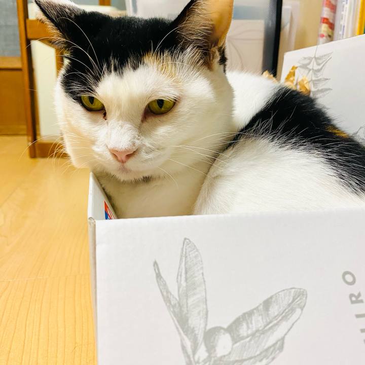 88834ff1 14f0 42cb afc1 678c6f7ac866 1696805344179