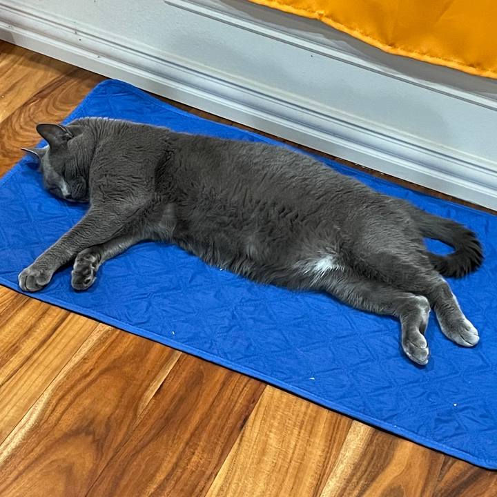 88835486 3722 4b15 900e 9d7b3ef5535f 1699494602218