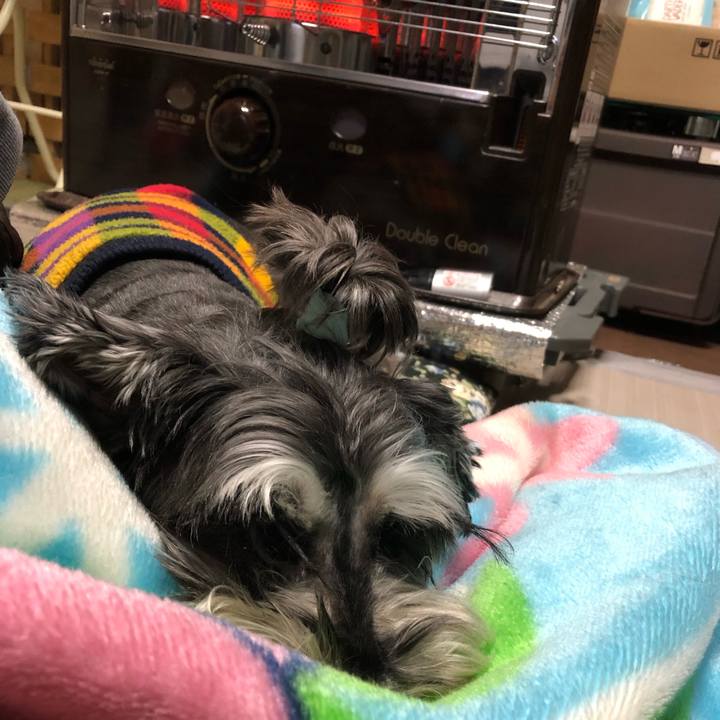 88835f1c 8f00 413c a3b0 b502e7f0be00 1637758536727