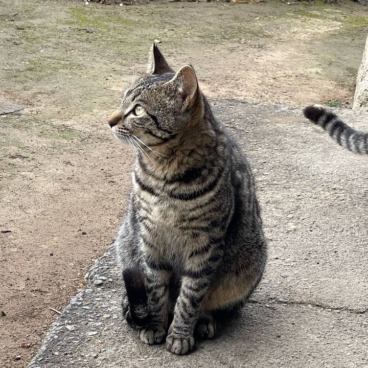 888368a8 69e4 45c4 ba42 ec3159ef82e7 1650438911603