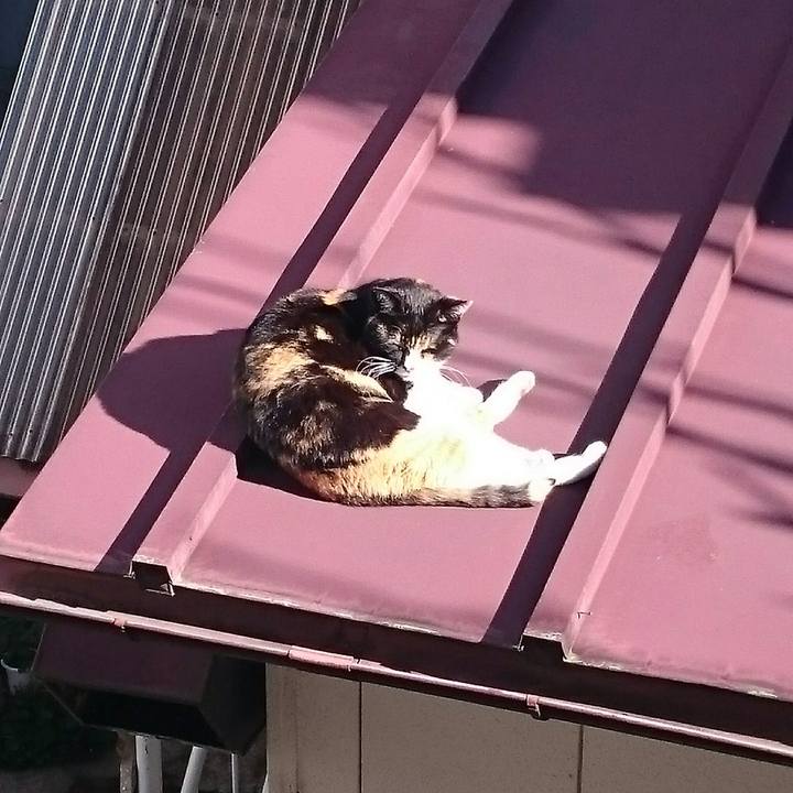 888395a6 0c31 44fc b4e6 7723d271b6dd 1521242723946