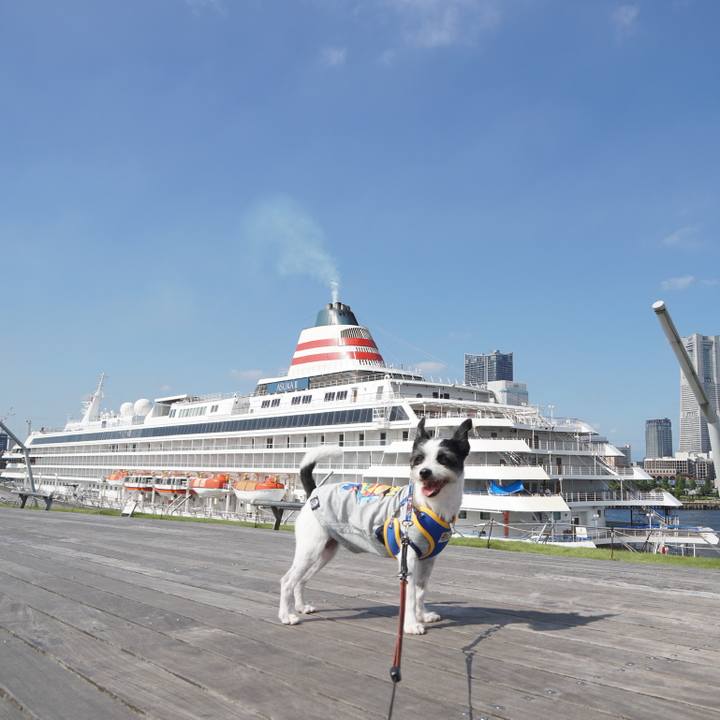 8883d96f c235 46a3 96e3 657f5e2d2921 1632223720448