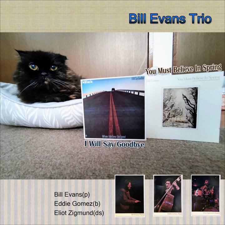 8883e862 1871 4405 a612 ac719e04b4e3 1762860488348