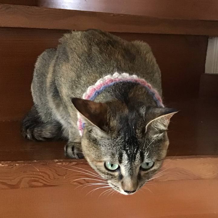 88840e37 a842 4c5e b427 33ca404c6bf8 1625292455420