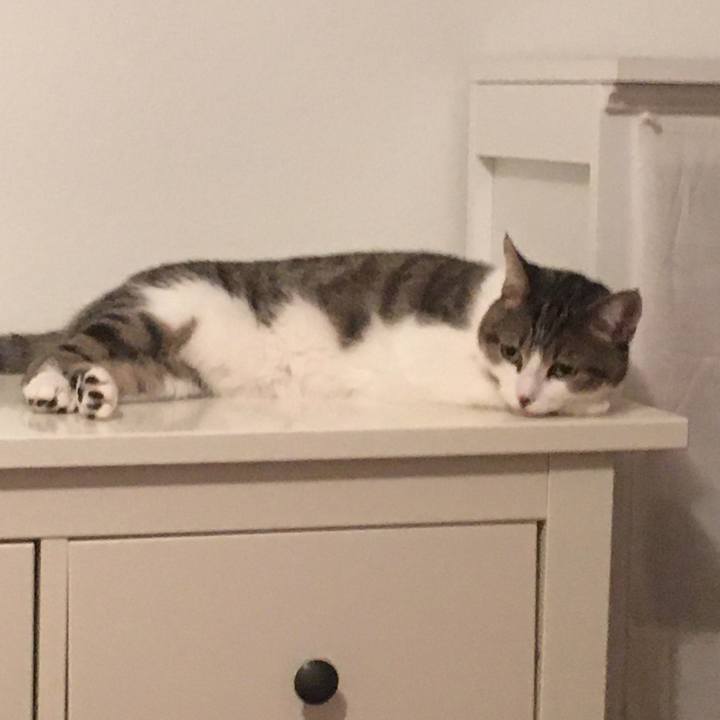 8884846c f6e1 4063 b1f5 1925424f0689 1663646323797