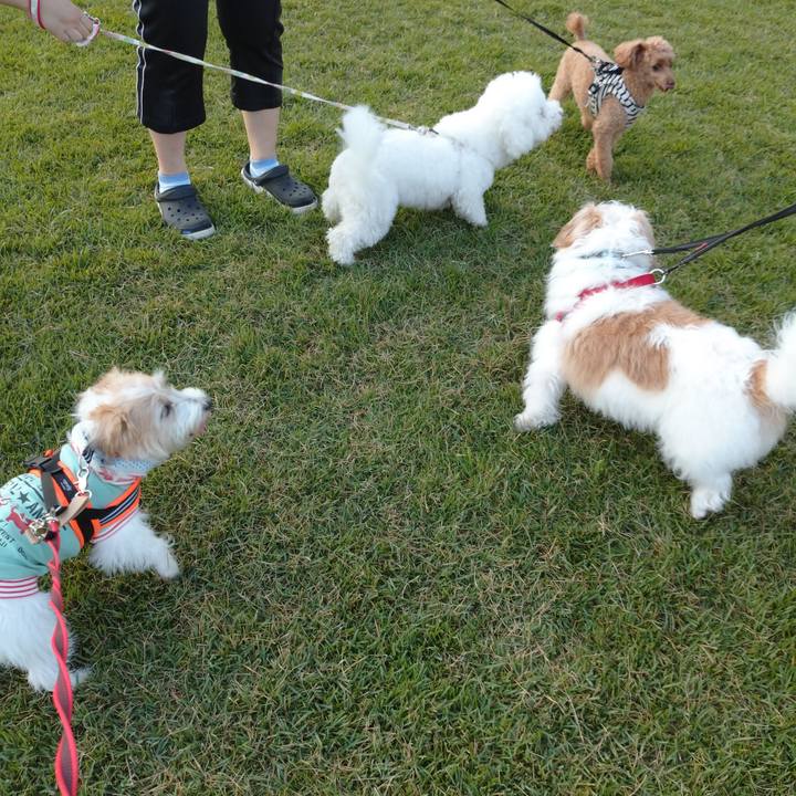 88853270 2942 4082 b96d 85d195cecffb 1755903294200