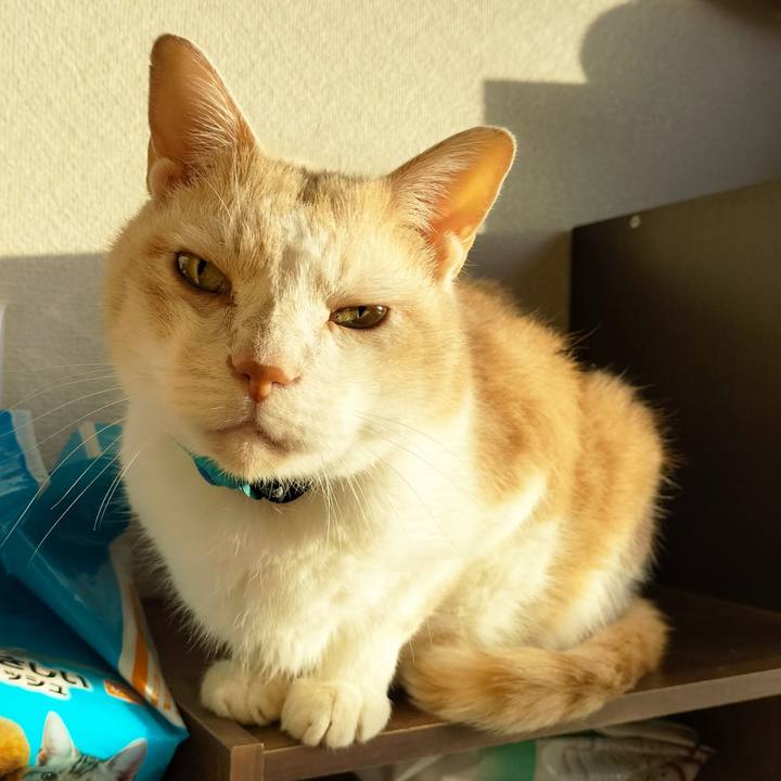 88856cd8 daf2 46f7 ad9d 99f06b18736d 1669105203952