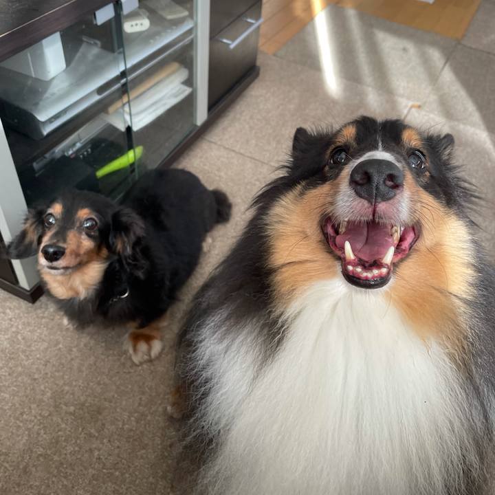 888590ad 8081 42a3 a6e4 315a140dccdc 1631224777231