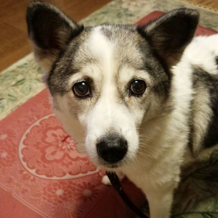 8885aabf 2f1b 4163 9c95 72a182d648a4 1521643034115