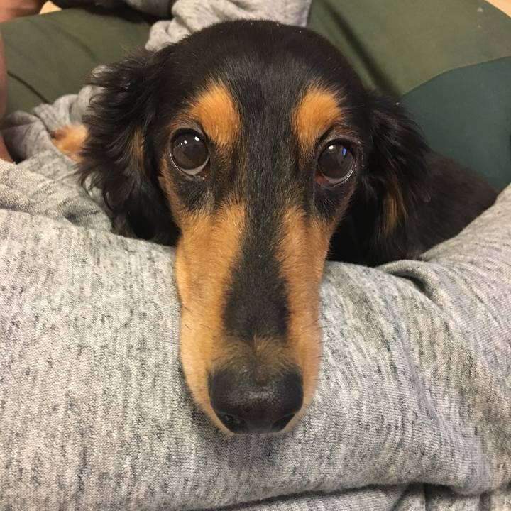 8885ae7a a3e0 4be4 aaaa b65ff35c6621 1509270496366