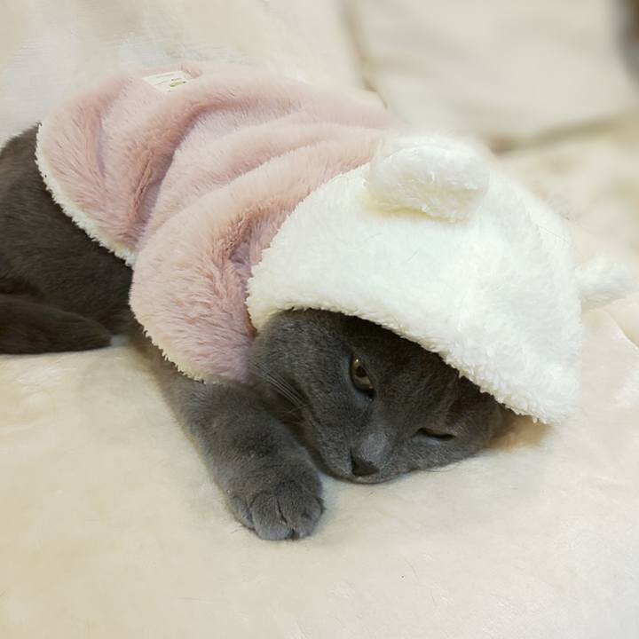 8885b3b1 3b68 408b 9f8e 0bcffe62159d 1761921212297