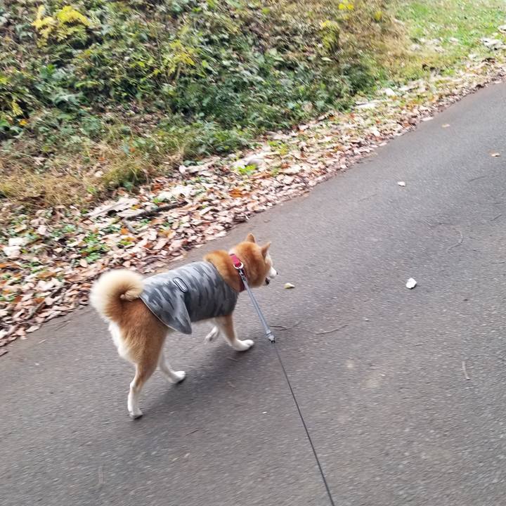 8885ba7b c5b4 4e9a a003 1ea5286ea725 1732248404509