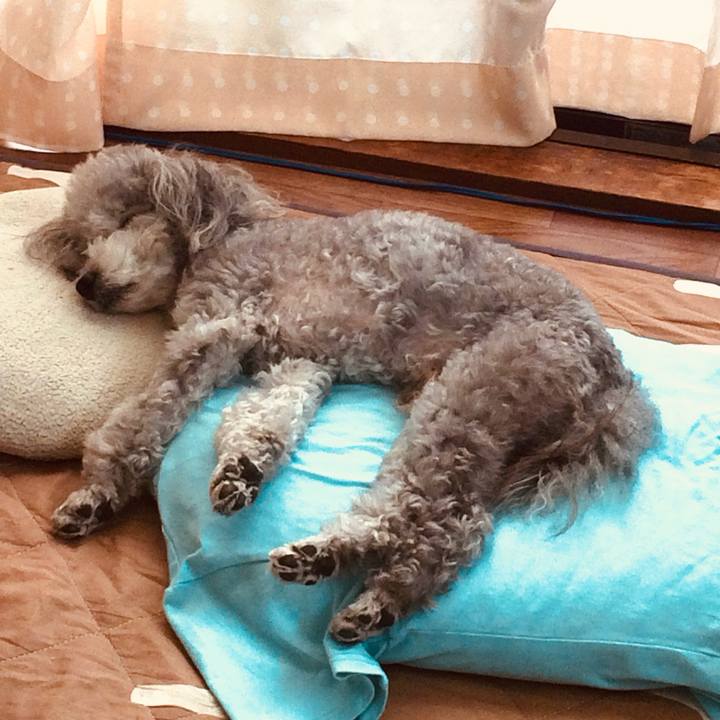 8885be86 7e3d 458f ac01 c4defdf60ca8 1729589341581