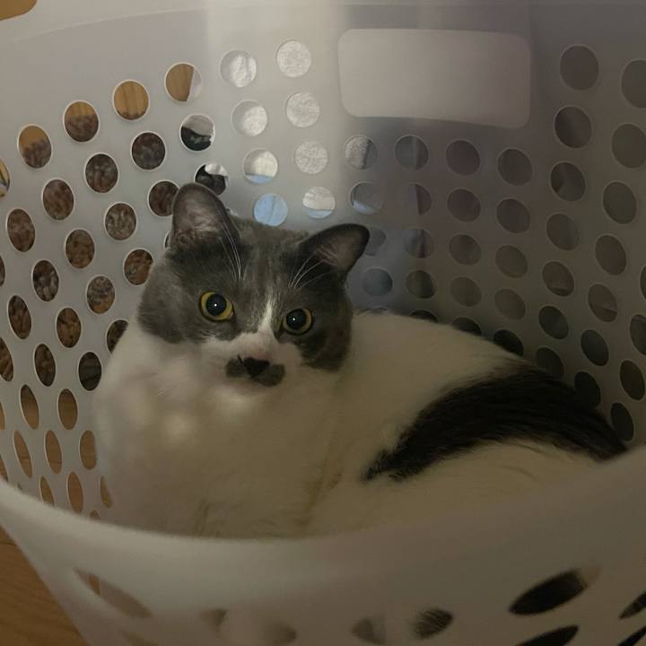 888625f8 6e93 4cf5 ba6b 30d40a4ae279 1629014137532