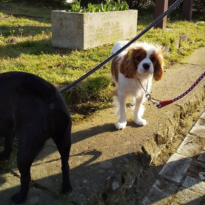 88863563 db87 4eec 94d7 3f7b0ab7a8bf 1585126739374