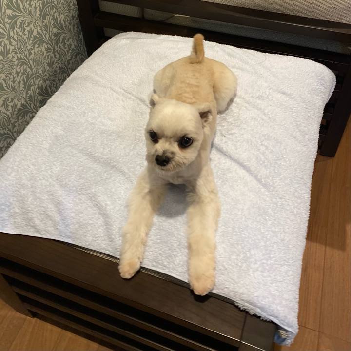 88865625 1c6d 4296 abbf aa2a63c720b9 1610968441589