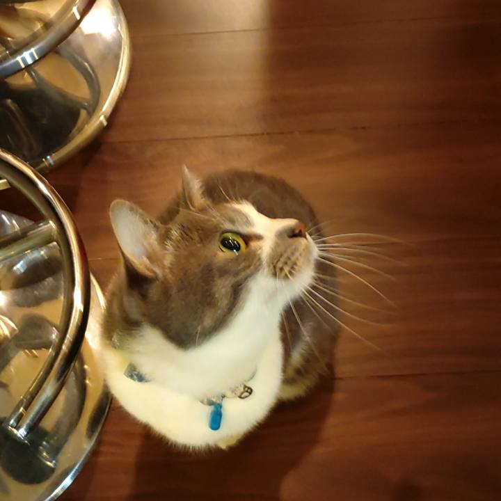 88866754 95d6 4179 88bb 24bae7b7b92b 1674424683625