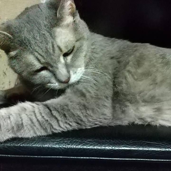 8886c5f8 d7bd 4525 953b 5093f5d1b39f 1692362360377