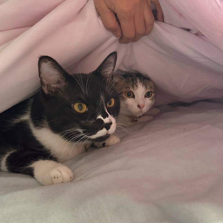 8886d6cc 3b35 4a85 a218 c3e1607ed505 1767065801684