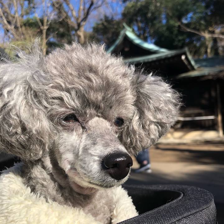 8886fab8 8a66 4d97 b94b 9972617de9e4 1578214517739