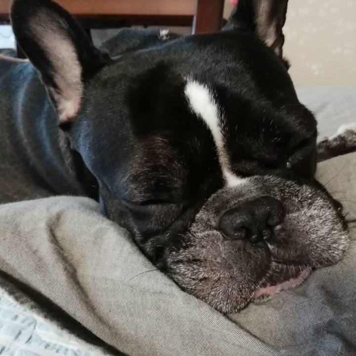 888728a4 d00f 4a5b a959 3539b0aed3e0 1539208076361