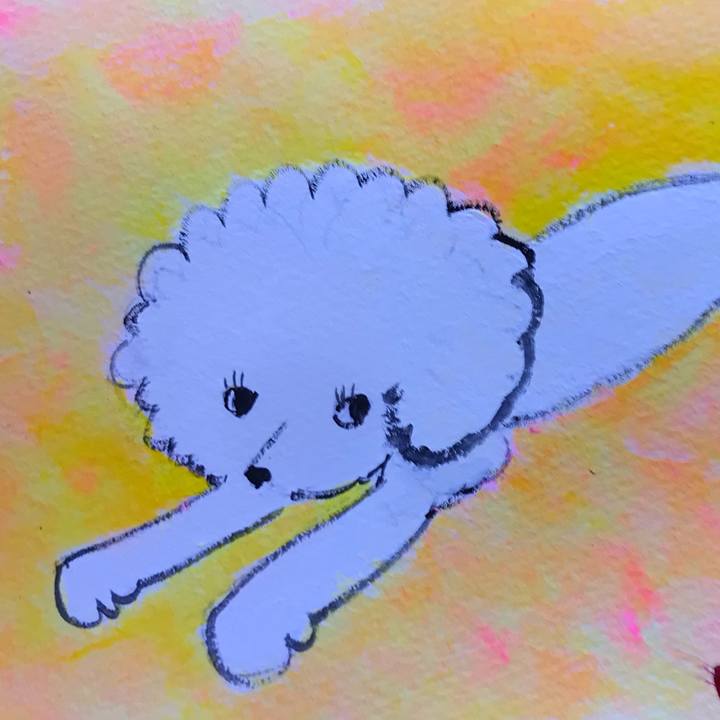 88882054 a603 4895 a6e2 2a00039bb0e0 1634651703889