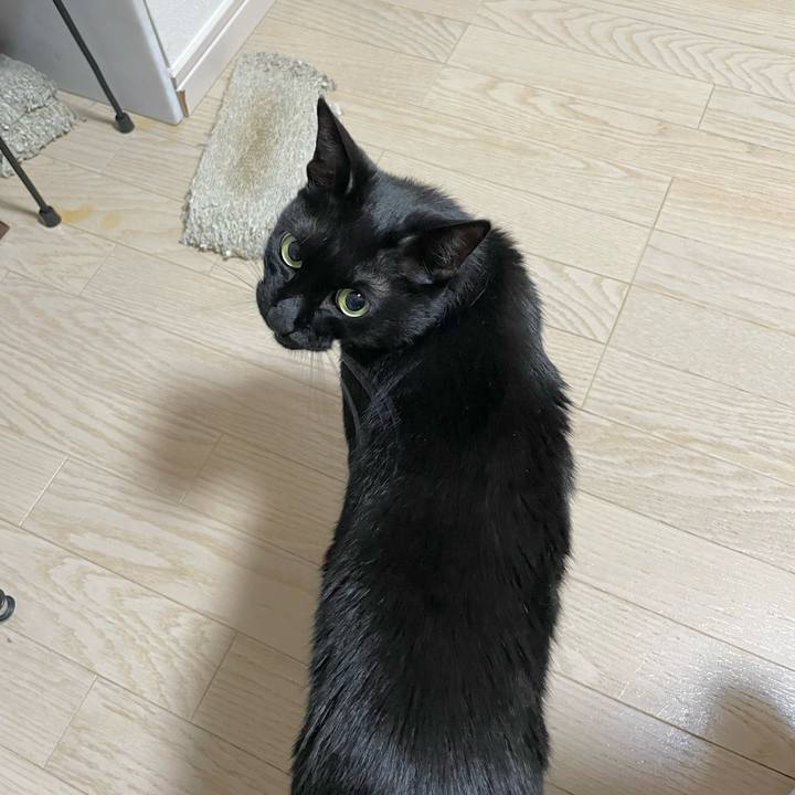 88884198 0c26 4e72 a563 be315f4b9f4f 1654869991591