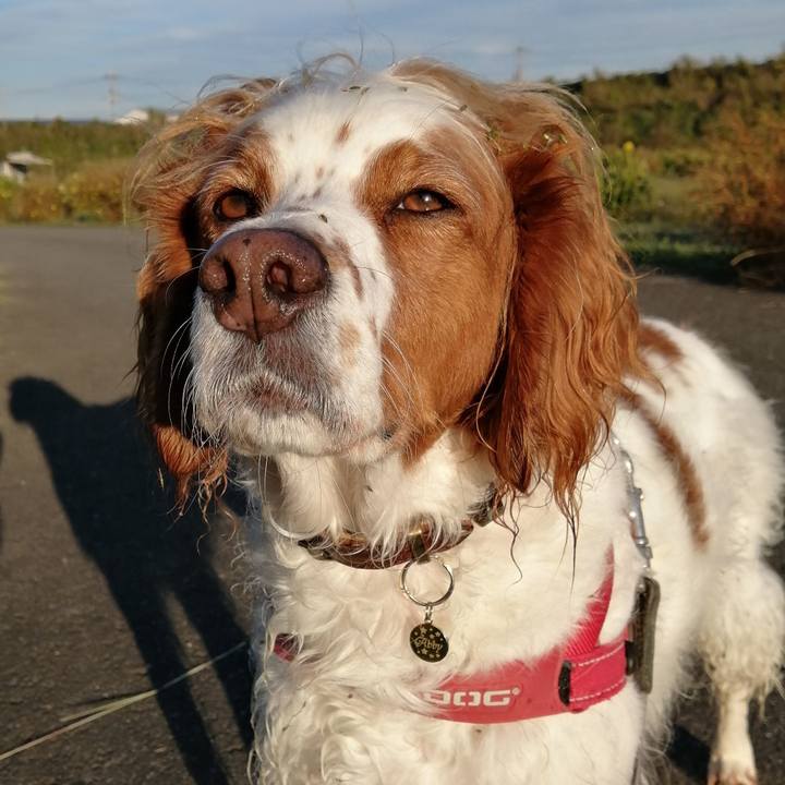 888847d4 1ed4 47c1 9160 7ba5077b7a31 1573099725925