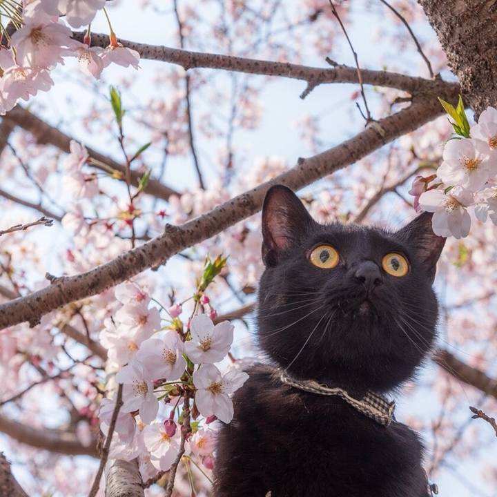 8888a2f7 3b5c 4951 bd5f 220f4530458b 1554731674835