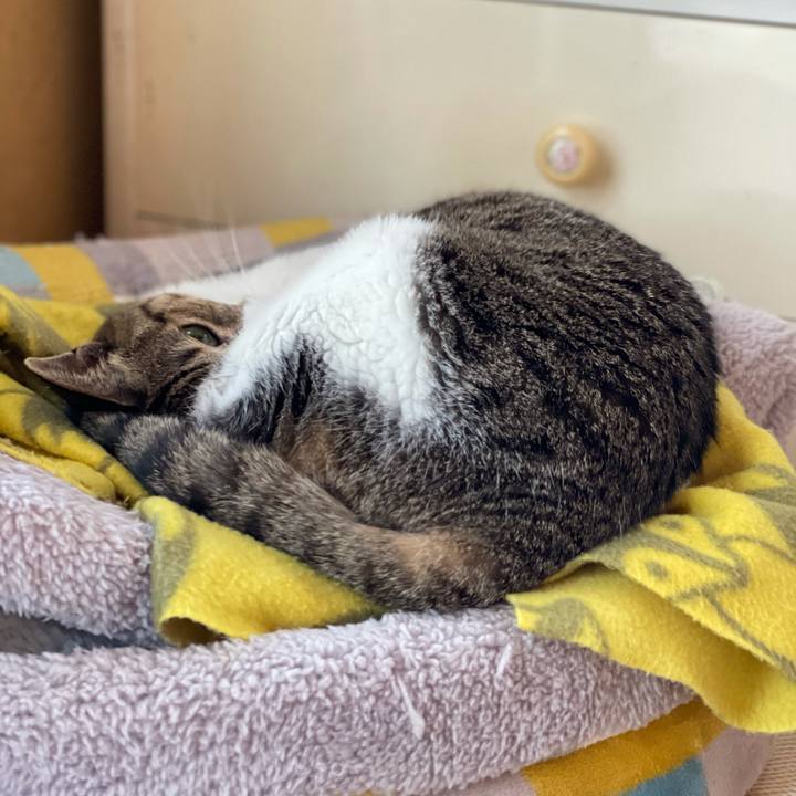 8888a445 c073 496e a6a2 b24b36b4fb7a 1619398215218