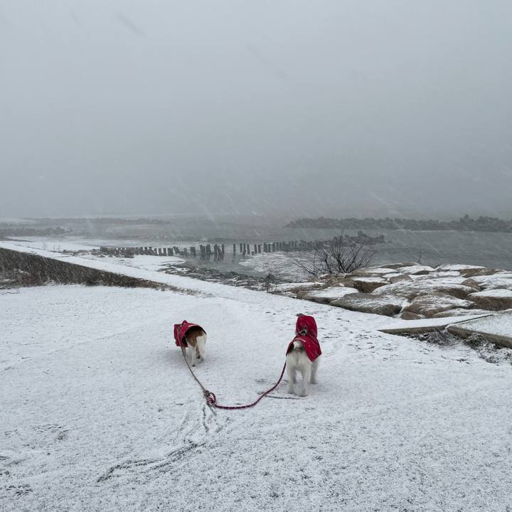 8888bc72 1175 4aeb 944c 771f74b1aa1e 1740179888867