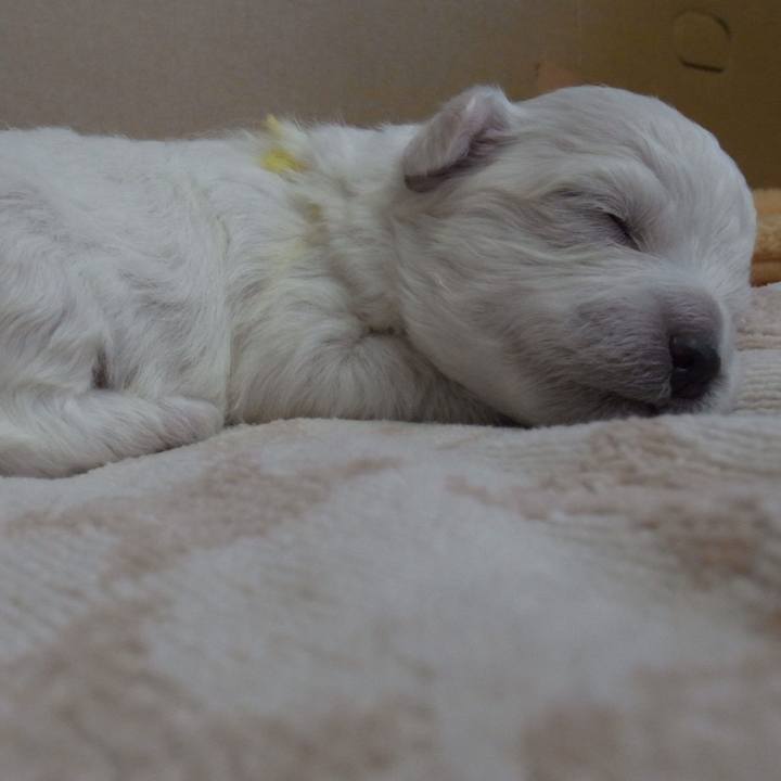 88890940 fda1 4abe b5f5 045f152cd914 1580974534632