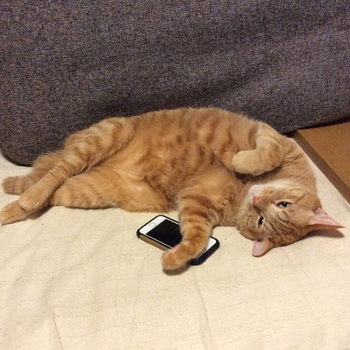 88893fe6 464b 4fd9 8592 eefddcaefffd 1537543590782