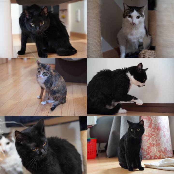 88896af8 cca9 4387 ab98 fd33d9517891 1625363315420