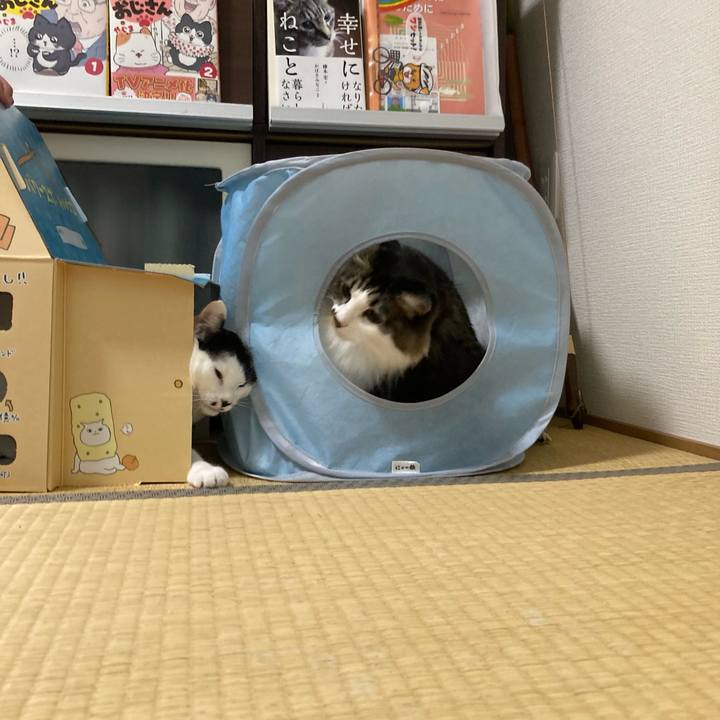 88898581 aa39 4b70 bf4f 2e0c83aeb3a7 1760620552580