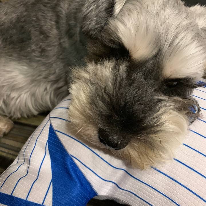 888a0cdc 129b 4068 8a2c d63623114f8d 1599454353568