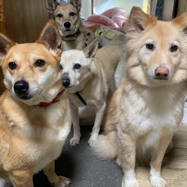 888a94d8 561a 45c9 9a42 d2731858aca8 1682163875674