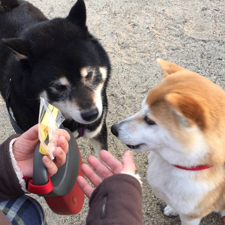 888acc91 9d1a 45bf a861 d0717a5d5f5e 1520896217739