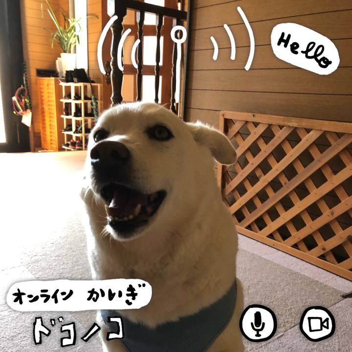 888acde7 4b3e 44b6 8468 868100af5951 1590807085318