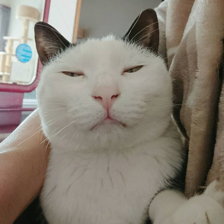 888b2bc9 2d2a 484e a8a9 9dd02ca34f1a 1516500940780