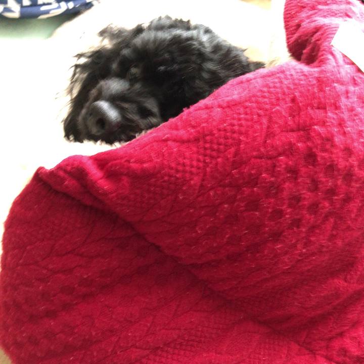 888b7cb2 dd96 47ef 8d4b a56dfb7b59ae 1533296615843