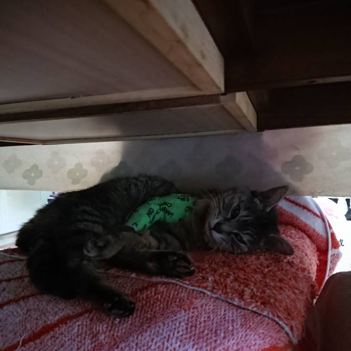 888bbaff 2180 4785 a977 6627cdda89b6 1587162796706