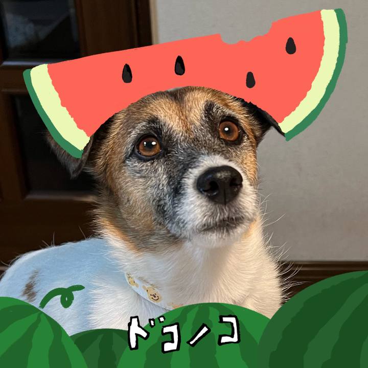 888bdcde 2c47 4af5 bf15 8bafa49025d1 1720776542340