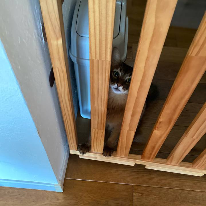 888c79a1 ec8d 40e7 b782 3d1ba6e13d04 1663035374962