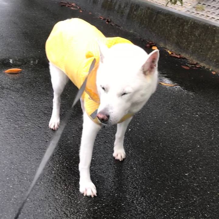 888c7bbb 40fb 4d33 a598 4c4e94d7671d 1538313130773