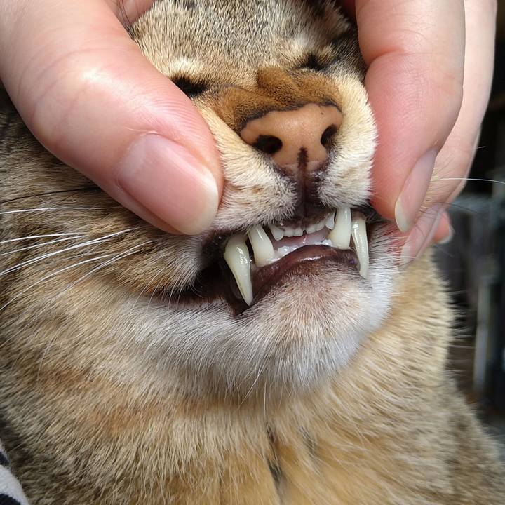 888caf1a ce97 48e5 8408 aec306e98cfd 1680925922904