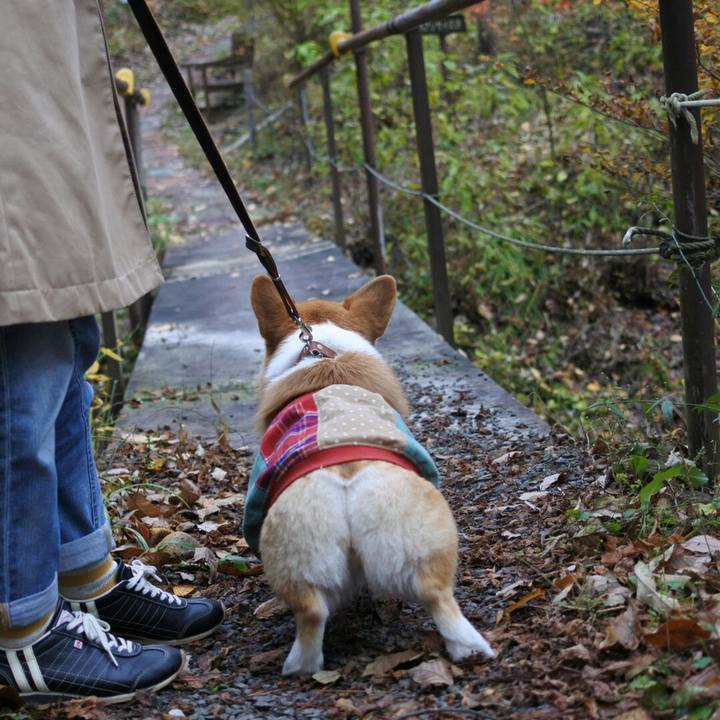 888cce04 ddaf 4918 b7a8 eb52391318a7 1509853040873